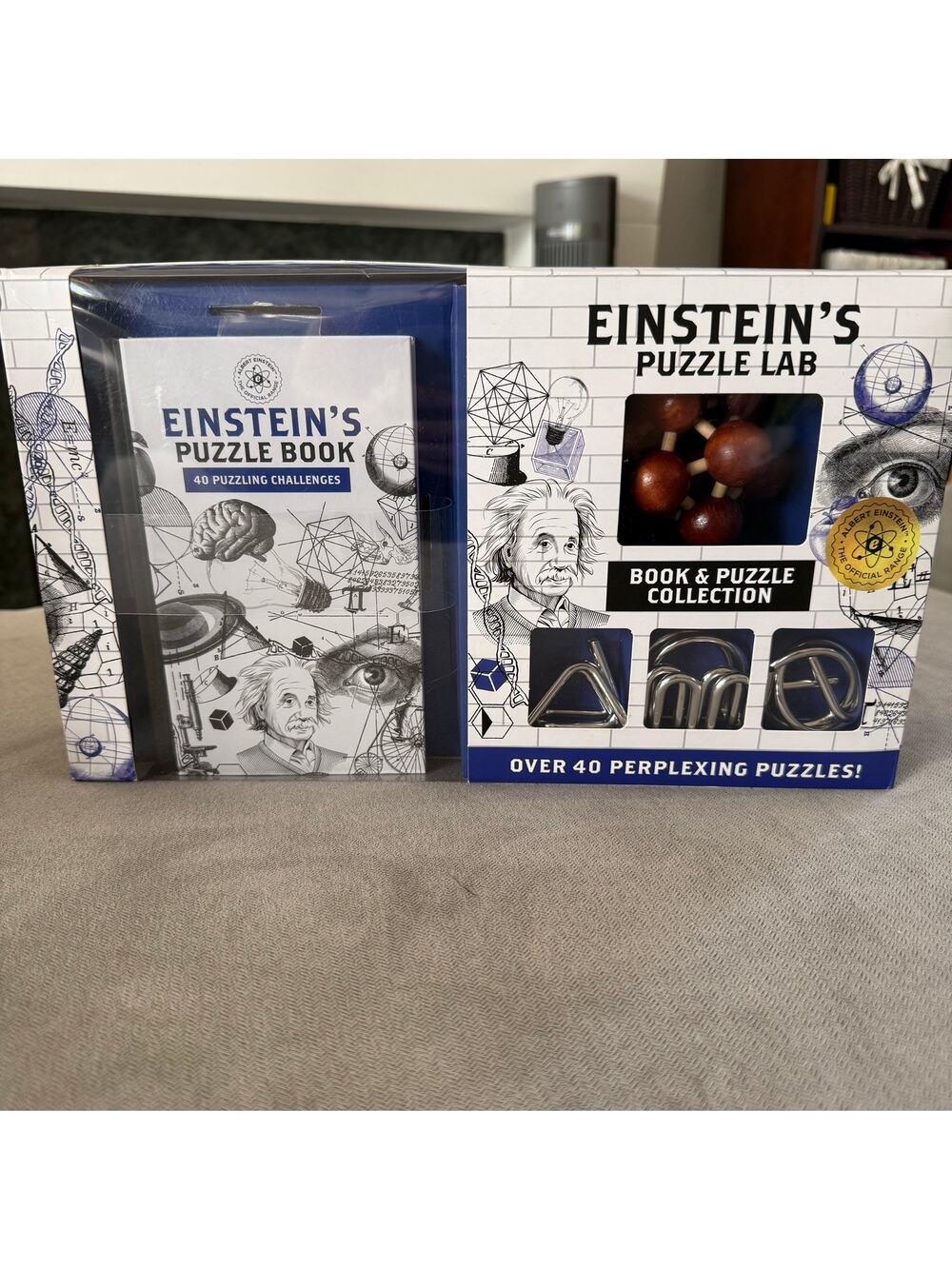 Einstein's Puzzle Lab Book & Puzzle Collection 40 Brain Teasers & Metal Puzzles